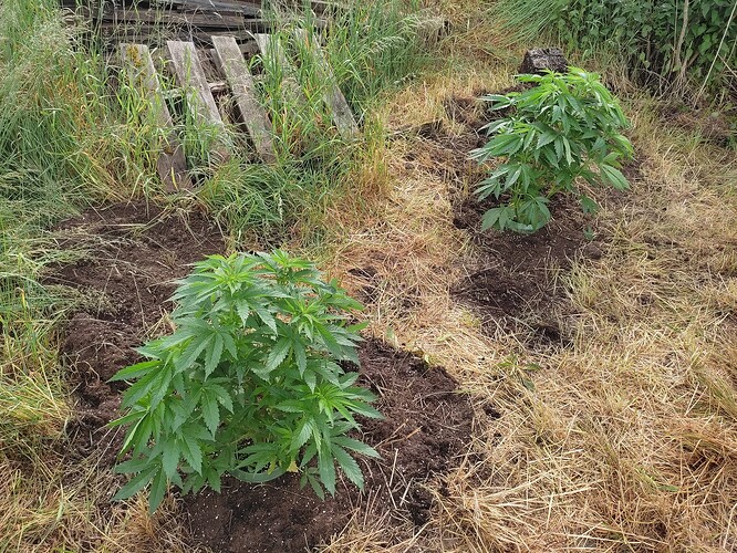 Growreport Bild 26