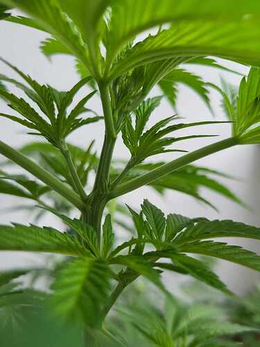 448586023_3783008008640455_8198838782721836638_n