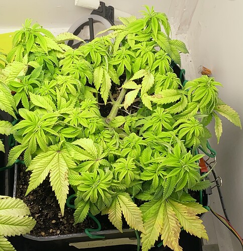 Growreport Bild 16