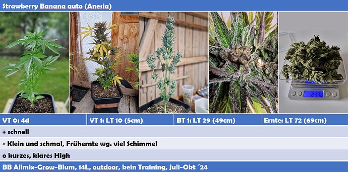 Growreport Bild 1
