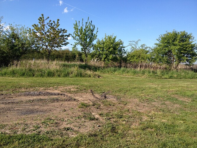 Growreport Bild 36