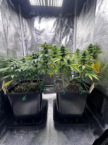 Growreport Bild 21