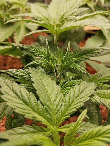 Growreport Bild 10