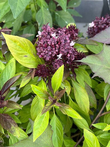 Growreport Bild 22