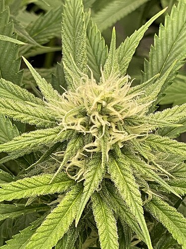 Growreport Bild 14