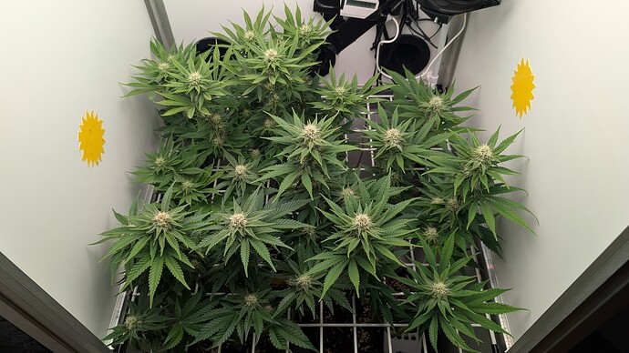 Growreport Bild 16