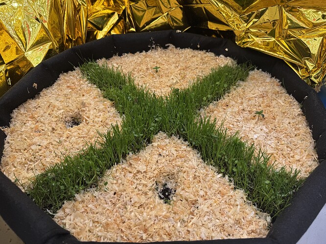 Growreport Bild 35