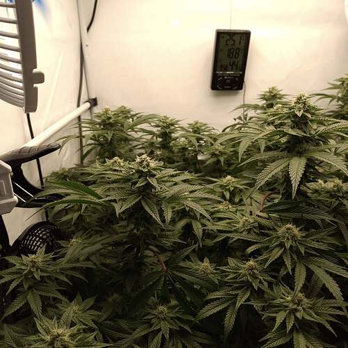 475017930_122166485318293599_9159291915707107785_n