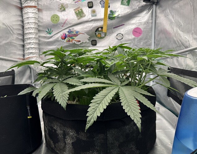 Growreport Bild 7