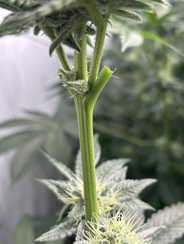 Growreport Bild 17