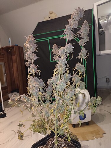 Growreport Bild 4