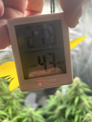 Growreport Bild 8