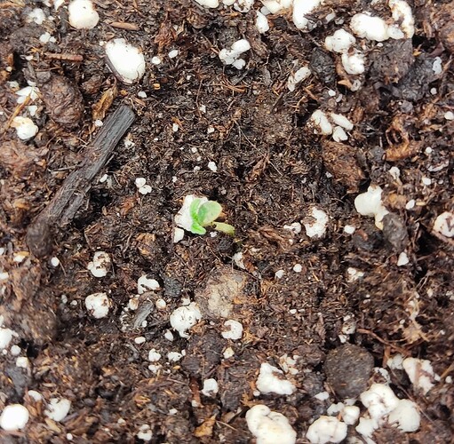 1728372831608 - Kopie