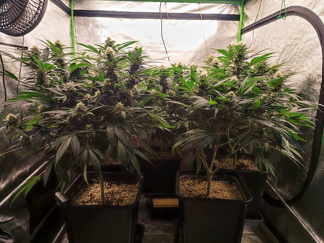 Growreport Bild 8