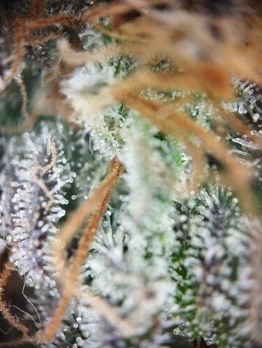 Growreport Bild 14