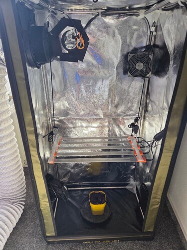 Growreport Bild 8
