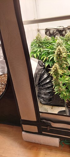 Growreport Bild 5