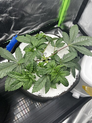Growreport Bild 17
