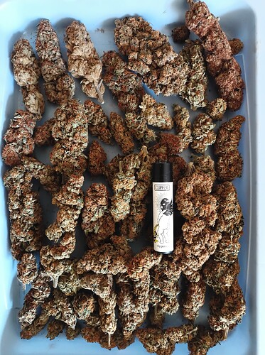 Growreport Bild 23
