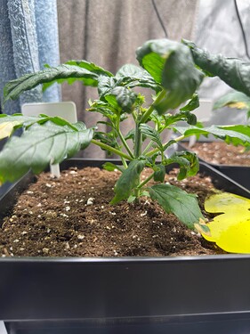 Growreport Bild 26