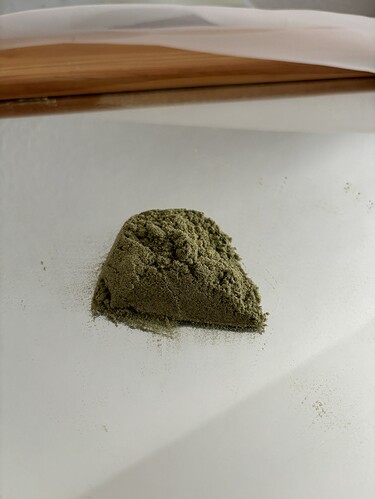 Growreport Bild 39