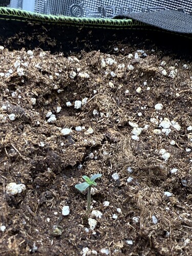 Growreport Bild 38