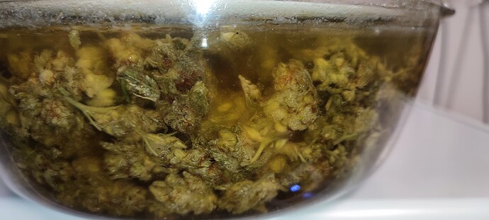 Growreport Bild 64