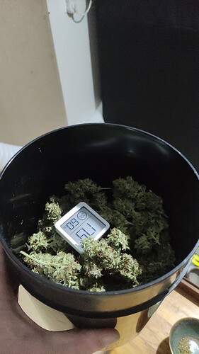Growreport Bild 15