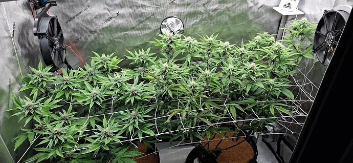 Growreport Bild 8