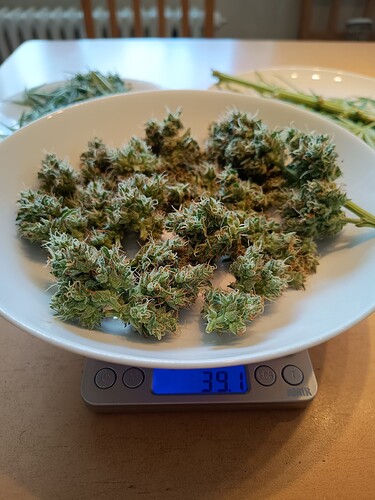 Growreport Bild 23