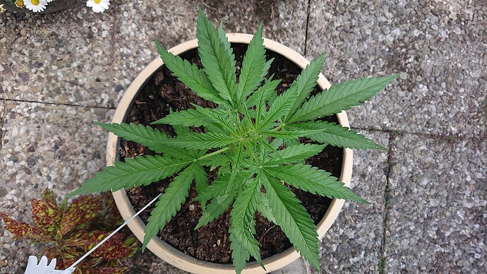 Growreport Bild 14