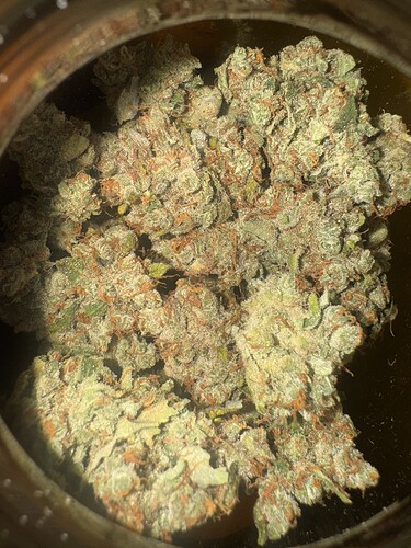 Growreport Bild 48