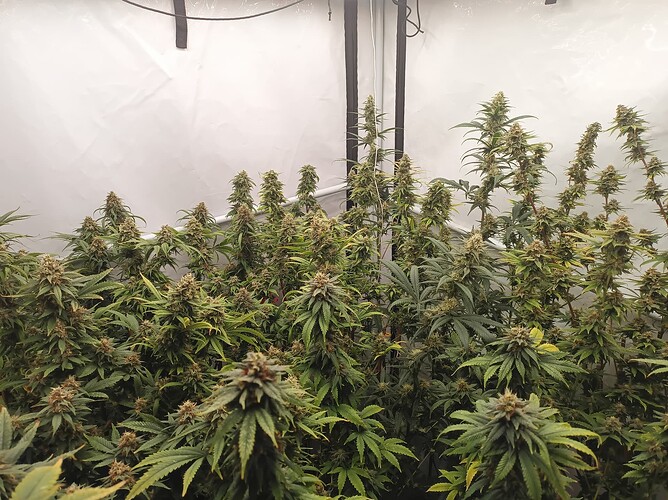 Growreport Bild 18