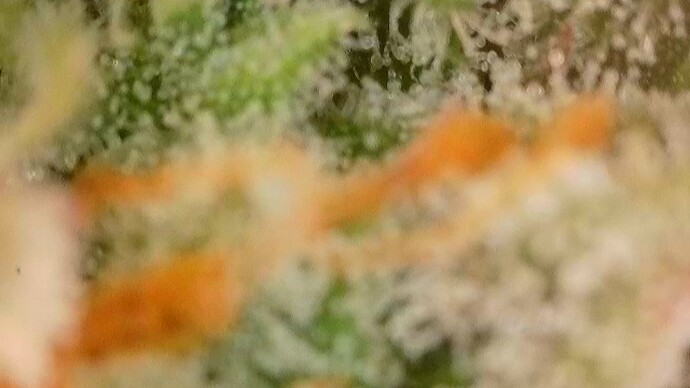 Growreport Bild 49