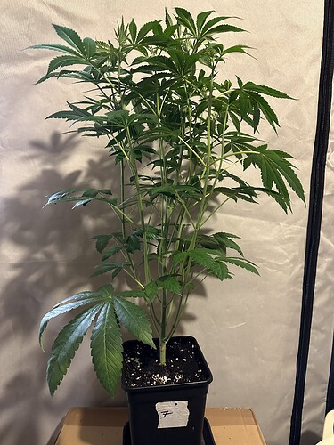 Growreport Bild 21