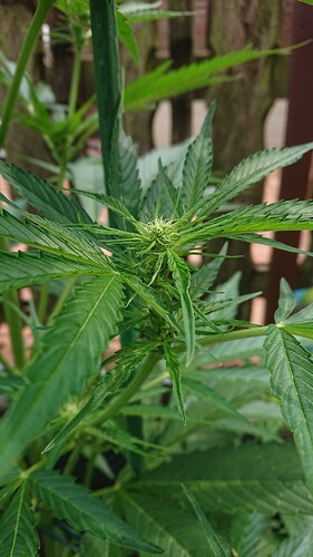 Growreport Bild 7
