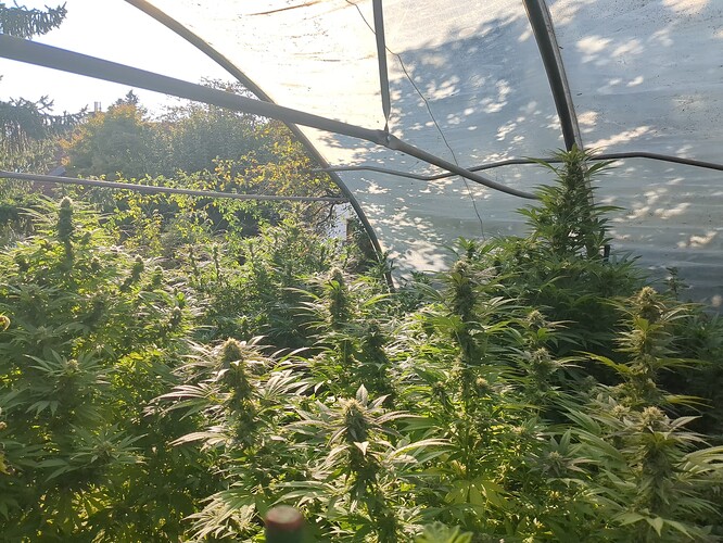 2025-09-29-17-01-56-731