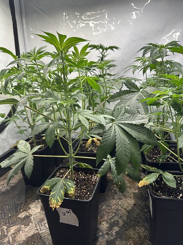 Growreport Bild 10
