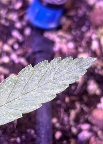 Growreport Bild 18