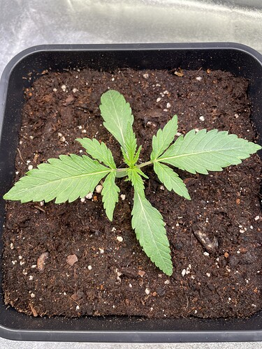Growreport Bild 10