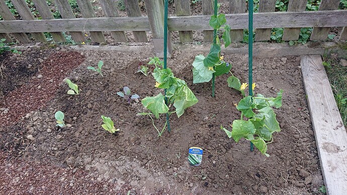 Growreport Bild 1