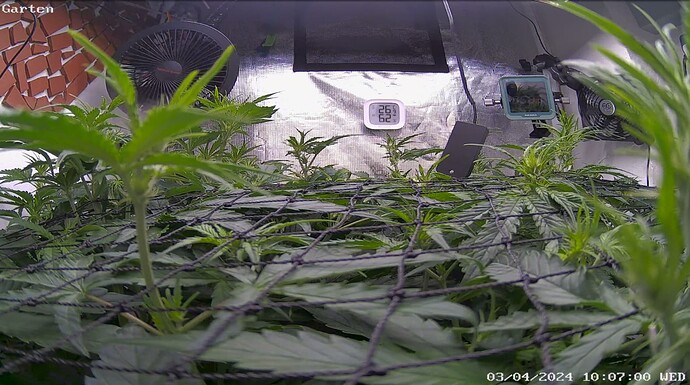 Growreport Bild 12