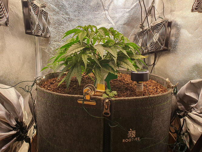 Tag 29 -2026-03-05-214446_009