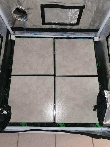 IMG_20241013_1516181