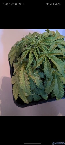 Screenshot_20240828-101930