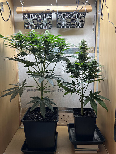 Growreport Bild 5
