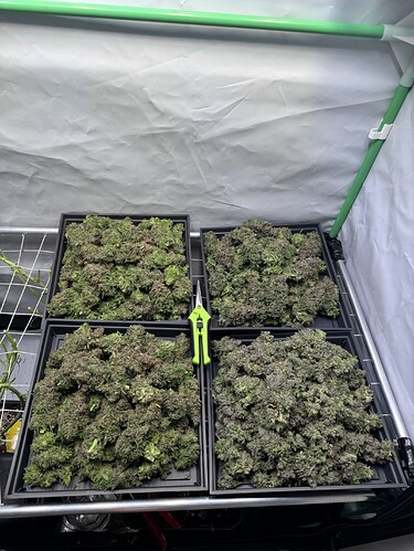 Growreport Bild 26
