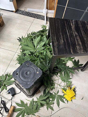 Growreport Bild 2