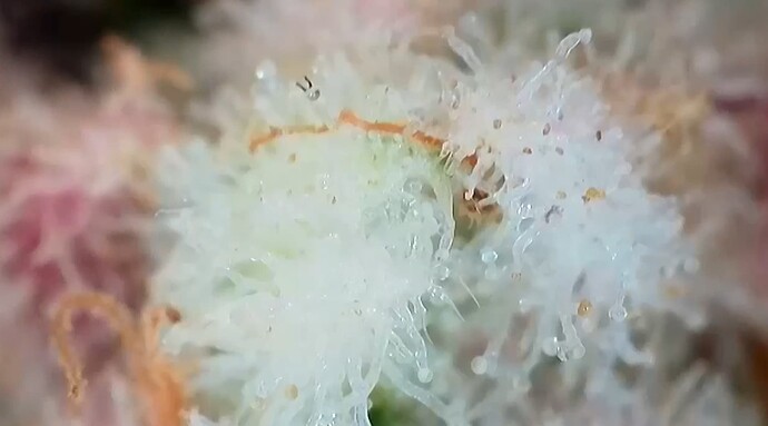 Growreport Bild 18