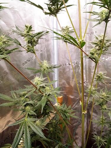 Growreport Bild 23